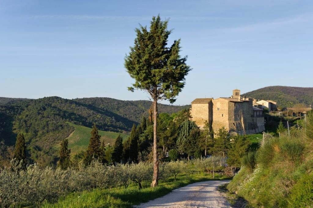 Umbria Nel Cuore Cannara エクステリア 写真
